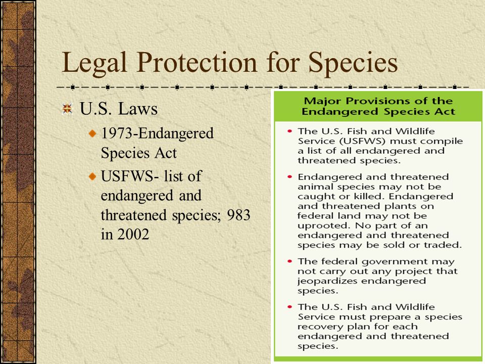 The Wildlife (Protection) Act, 1972: An appraisal